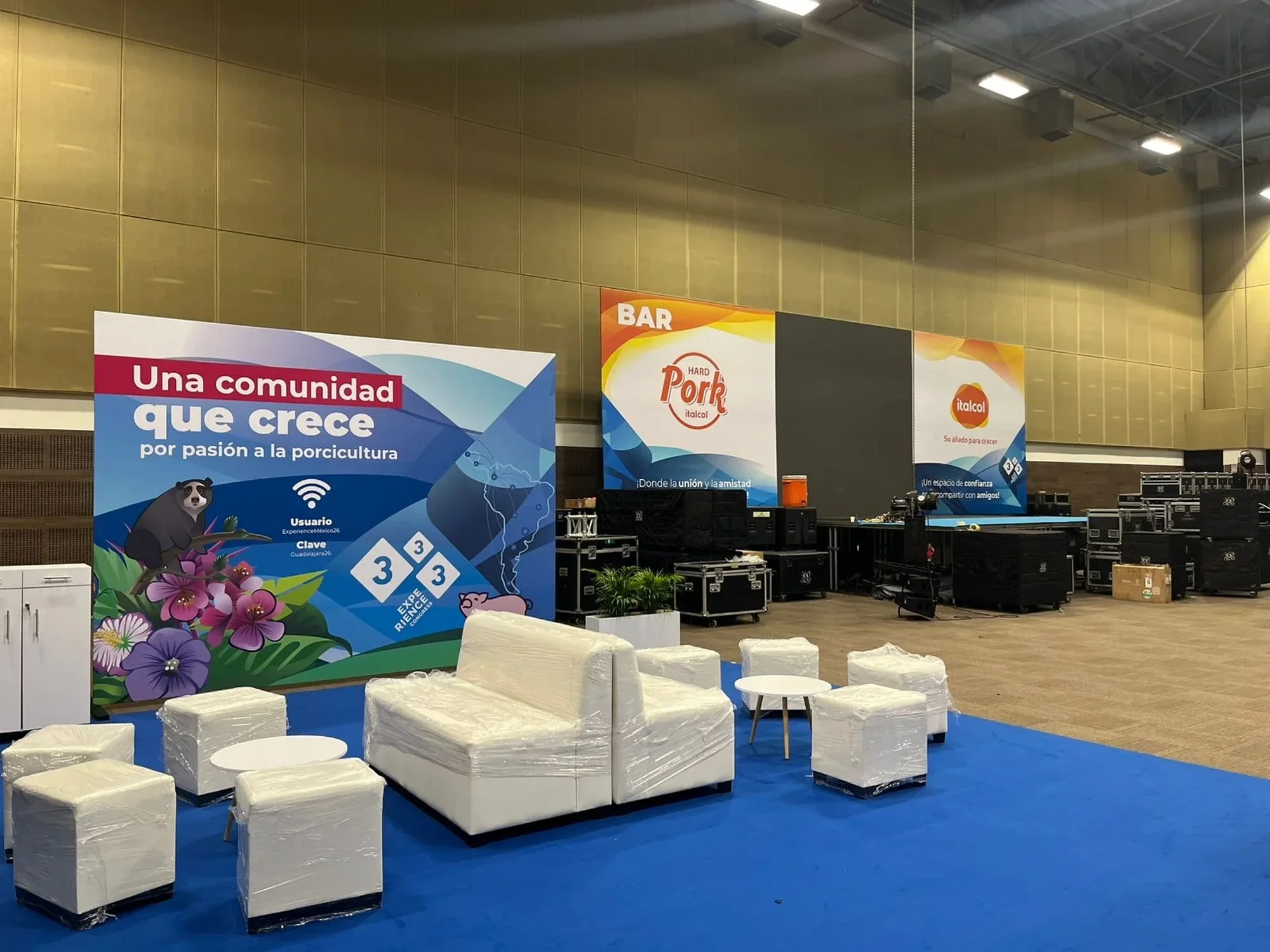 333 Experience Congress