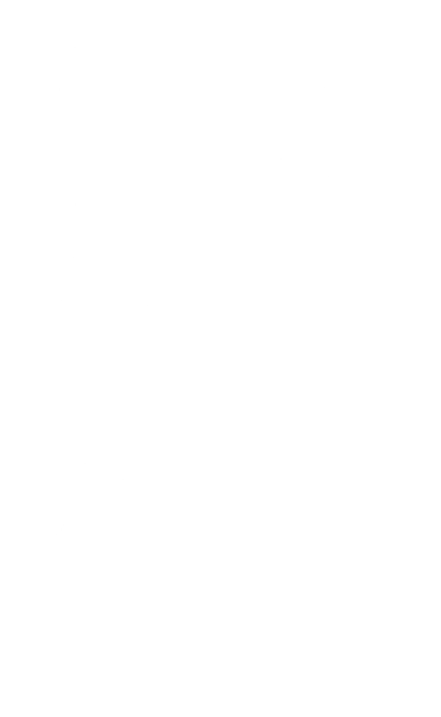 Zorro Azul
